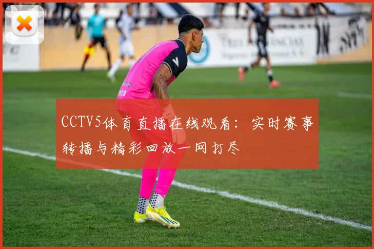 CCTV5体育直播在线观看：实时赛事转播与精彩回放一网打尽