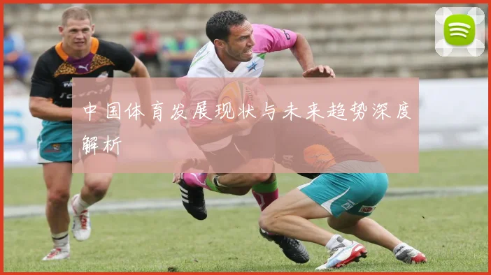 中国体育发展现状与未来趋势深度解析