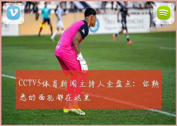 CCTV5体育新闻主持人全盘点：你熟悉的面孔都在这里
